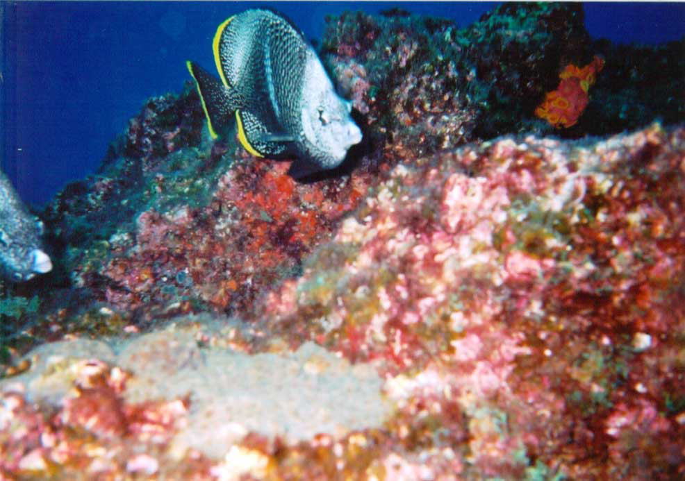 ���E�[���F���䓇