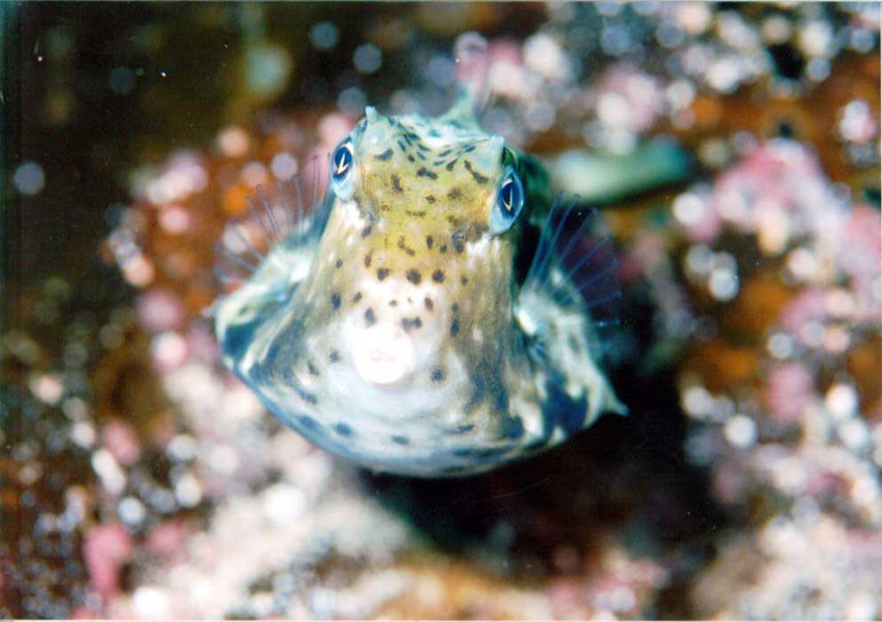 �V�}�E�~�X�Y��