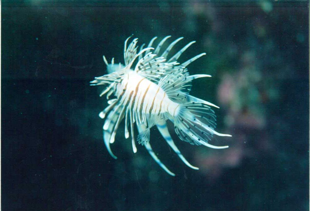 �~�m�J�T�S