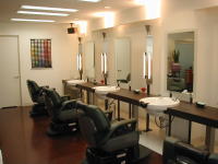 �X���̕��i