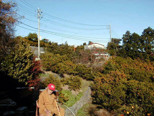 PC050026