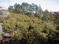 PC050025