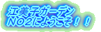 ]qK[f mnQɂ悤II