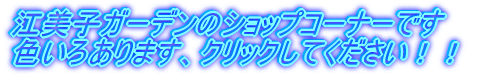 ]qK[f̃VbvR[i[ł F날܂ANbNĂII