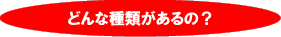 どんな種類があるの?